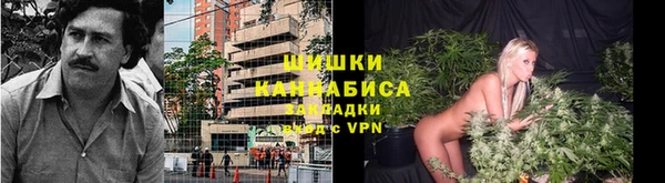 мяу мяу мука Белокуриха